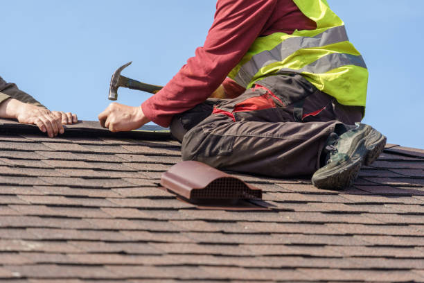 Best Roof Repair Services  in New Martinsville, WV