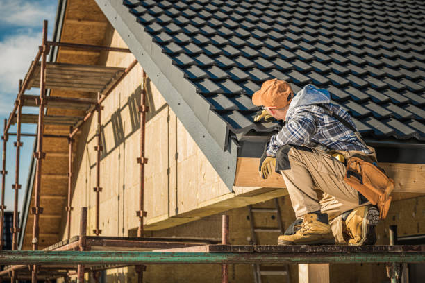 Best Roof Gutter Cleaning  in New Martinsville, WV
