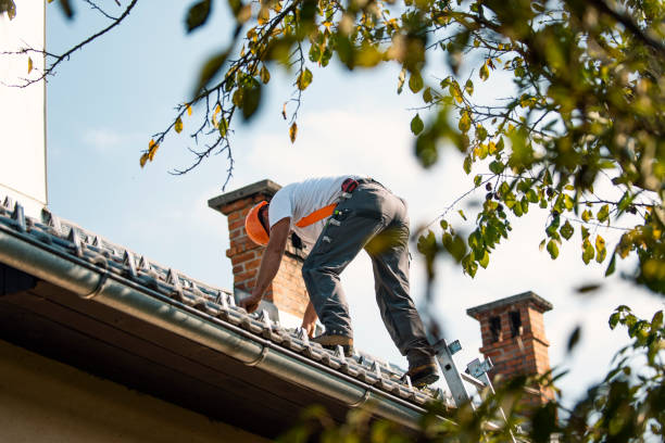 Best Roof Waterproofing Services  in New Martinsville, WV