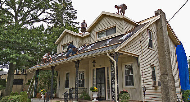 Best Metal Roofing Contractor  in New Martinsville, WV